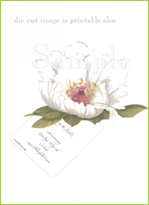 Peony with antique white ribbon tag invitation by Stevie Streck